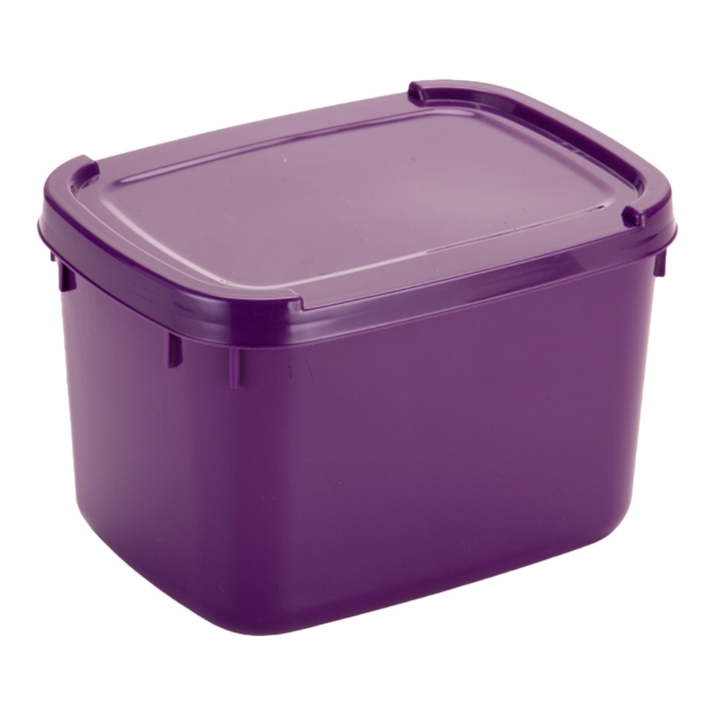 POTE ROXO 2L PLASNEW