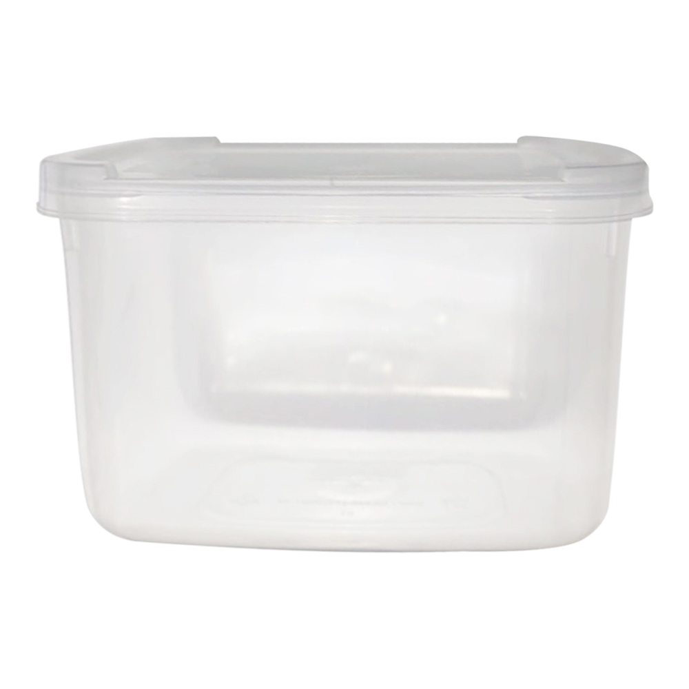 POTE TRANSPARENTE 2LT  PLASNEW
